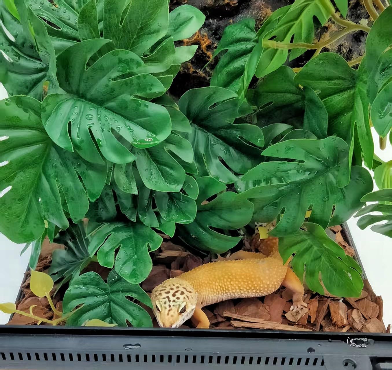 Reptile Plants for Terrarium Decor, Amphibian Habitat Decor, Snake Tank Accessories, Artificial Hanging Plants with Suction Cup-2 Packs (Fake Monstera)