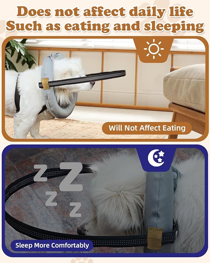 Blind Dog Harness, Lightweight Collar for Dogs&Cats, Adjustable Blind Dog Collar Harness, Pet Anti-Collision Ring for Blind, Eye Injury, Vision Impairment Pets for Protective & Build Confidence XL