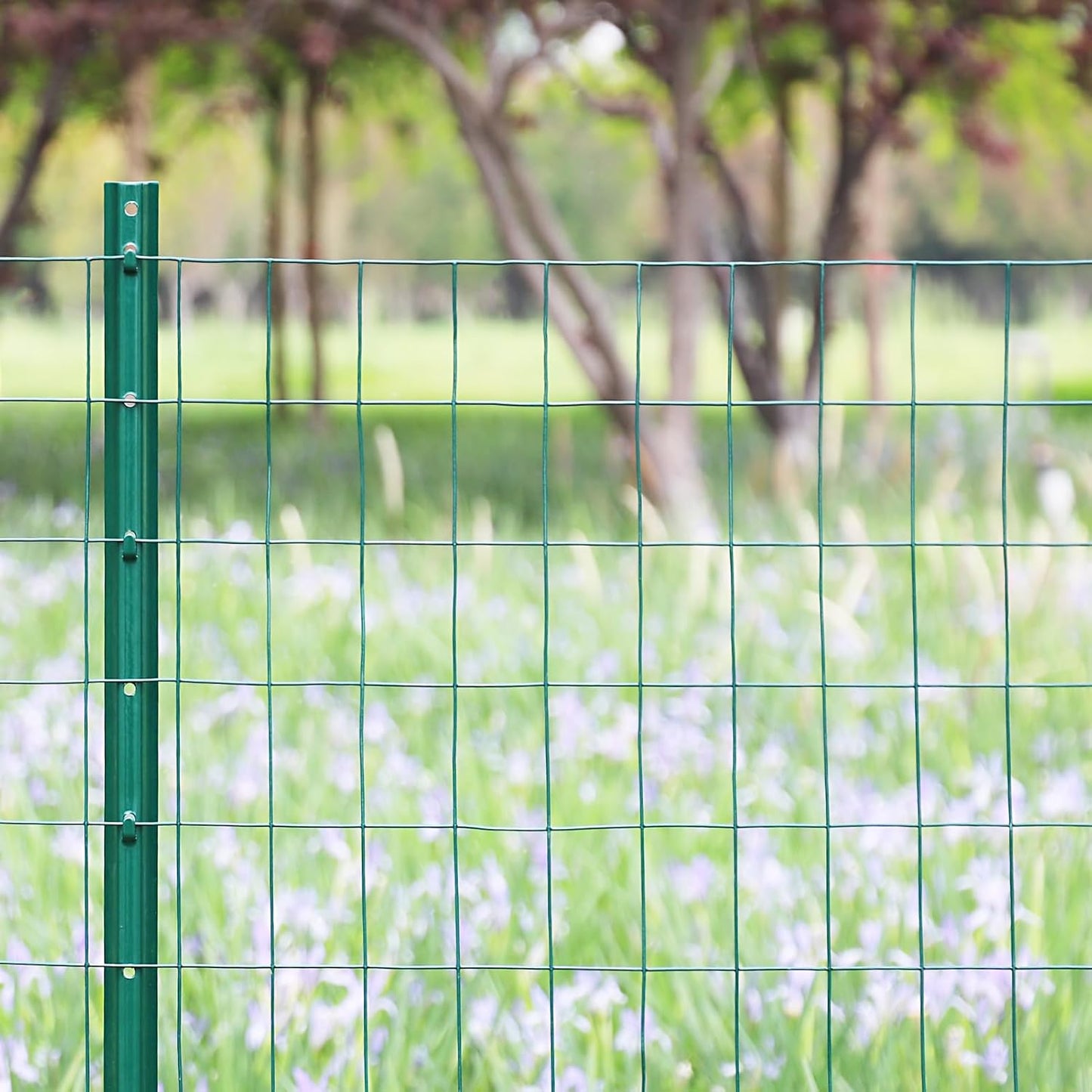Green PVC Coated Welded Wire Fence 24 Inch x 25 Foot, 2 Inch x 3 Inch 16GA, Garden Border Fencing Roll Vinyl Coating Metal Wire Mesh for Yard Vegetable Plant Protection Poultry Netting
