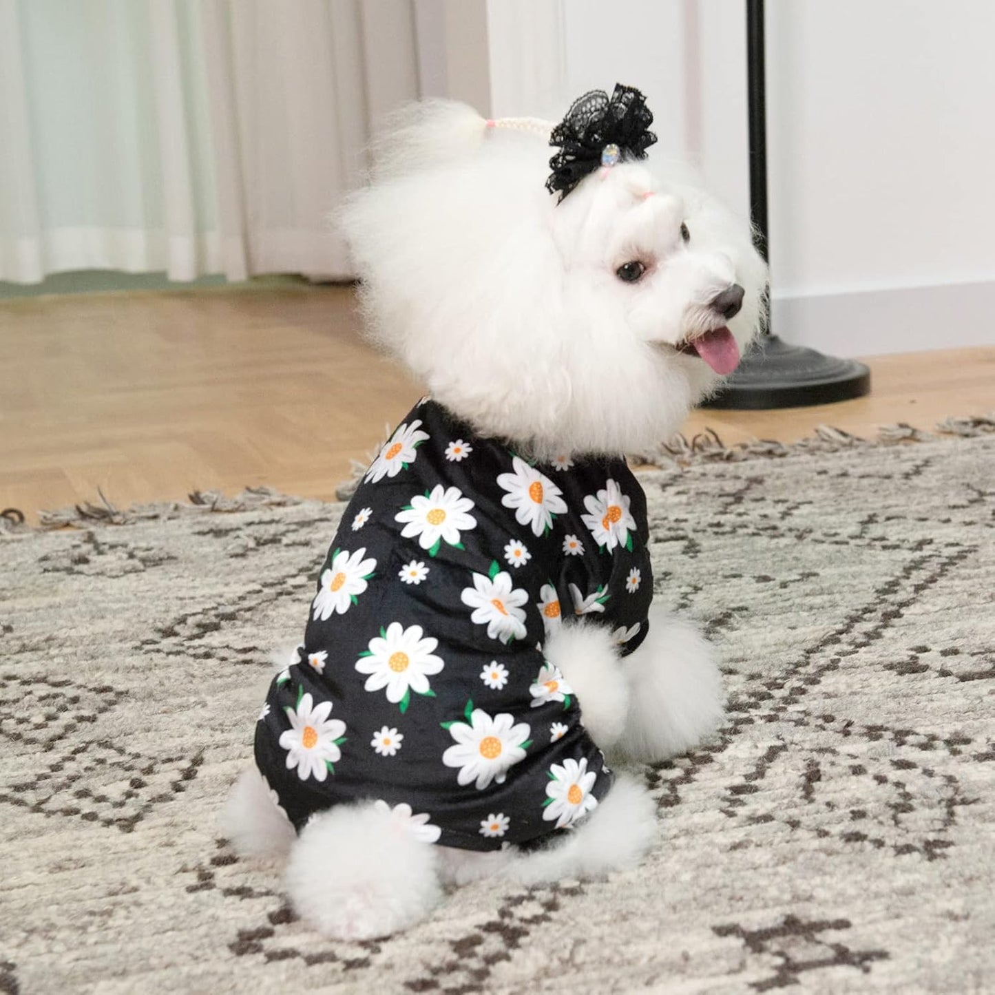 CuteBone Small Dogs Outfit Soft Puppy Onesies Pjs Dog Pajamas Pet Coat Cat Apparel Comfy Doggie Jumpsuit Bodysuit for All Seasons P221XS