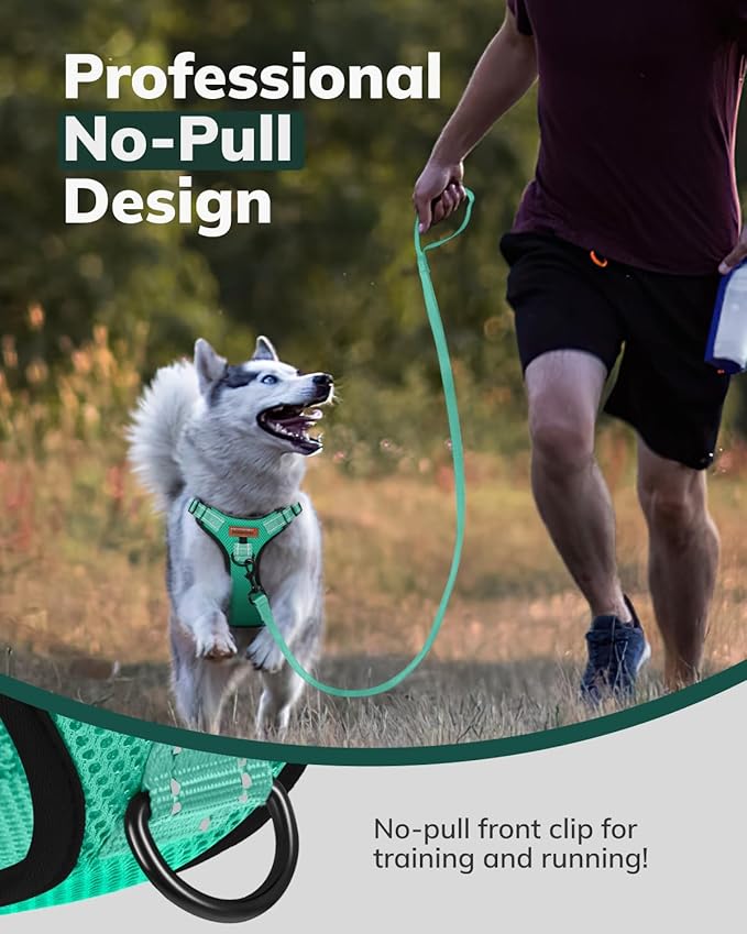 MIDOG No-Pull Dog Harness | Adjustable & Reflective Pet Harness Leash Set for Small Medium Large Dogs Walking, Training| No Choke, Front Clip, Soft Padded Vest with Easy Control Handle - Green, XS