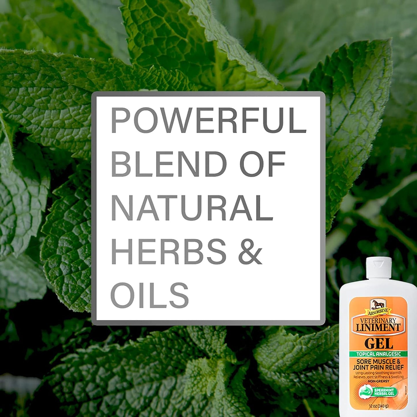 Absorbine Veterinary Liniment Gel, Topical Menthol Analgesic Rub for Sore Muscle, Joint & Arthritis Pain Relief, 12oz Bottle 2-Pack