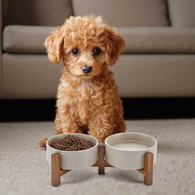 SPUNKYJUNKY Ceramic Dog Bowls Set with Acacia Wood Stand - Raised Dog Food and Water Bowl for Small Dogs (13.52 OZ, Gray)