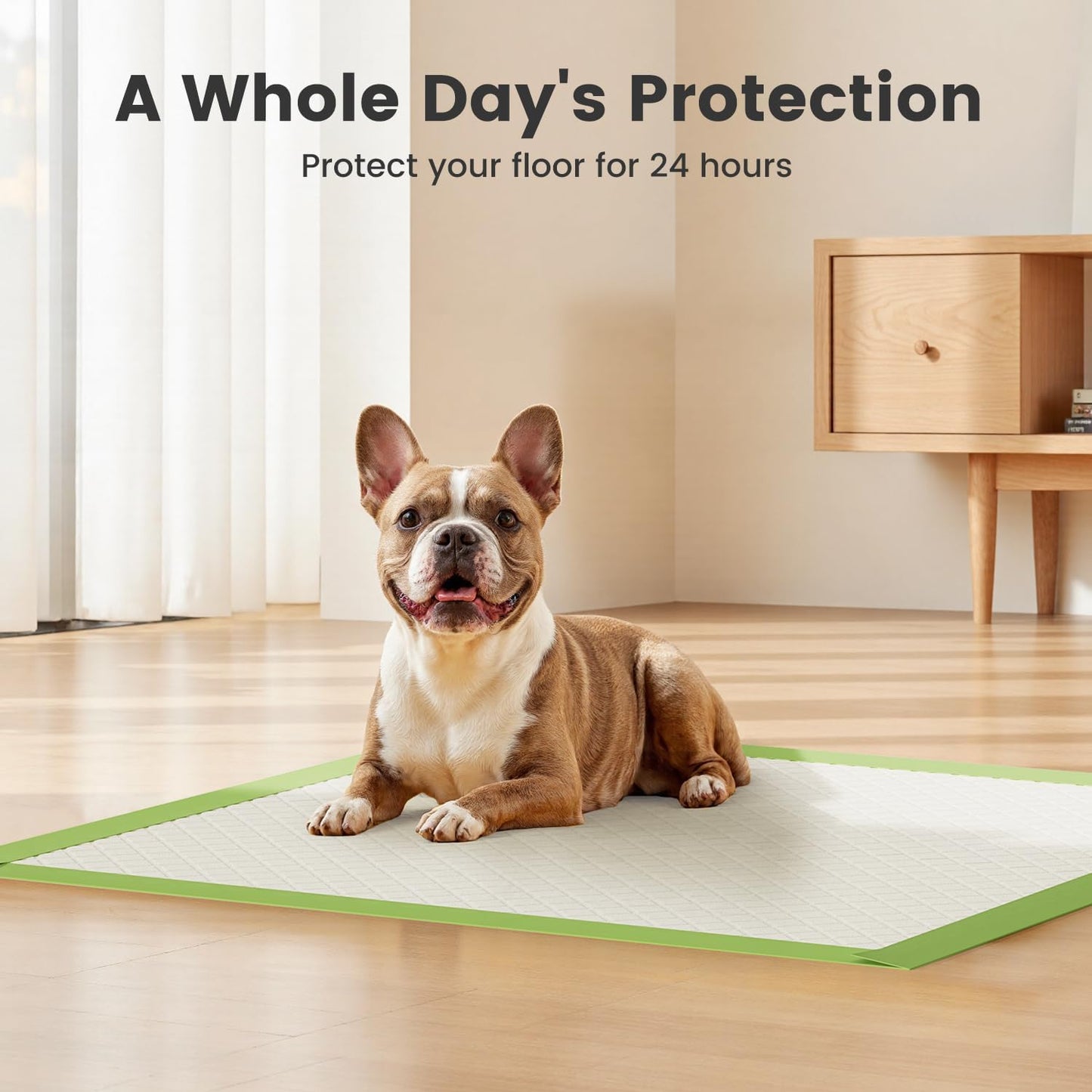 Gardner Pet Dog Pee Pads Rugular 22"x22", Thicker ECO Green Small Disposable Puppy Training Pads Super Absorbent Full Edge-Wrapping Pad for Dogs, Puppies, Doggies, Cats-(40 Count)