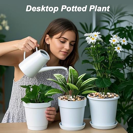 River Rocks, Decorative Ornamental Pebbles,Garden Landscaping Stones,Gravel Filler for Home Decoration Flower Bed Fish Tank Plants Vases Succulents