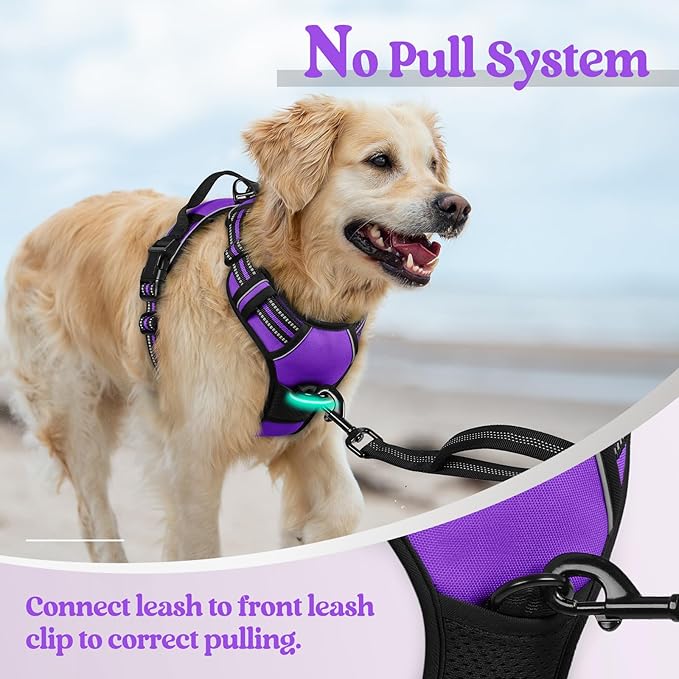 rabbitgoo Dog Harness No Pull with 2 Leash Clips, Adjustable Soft Padded, Reflective Oxford No Choke Pet Vest with Easy Control Handle for Medium Sized Dogs, Purple, M