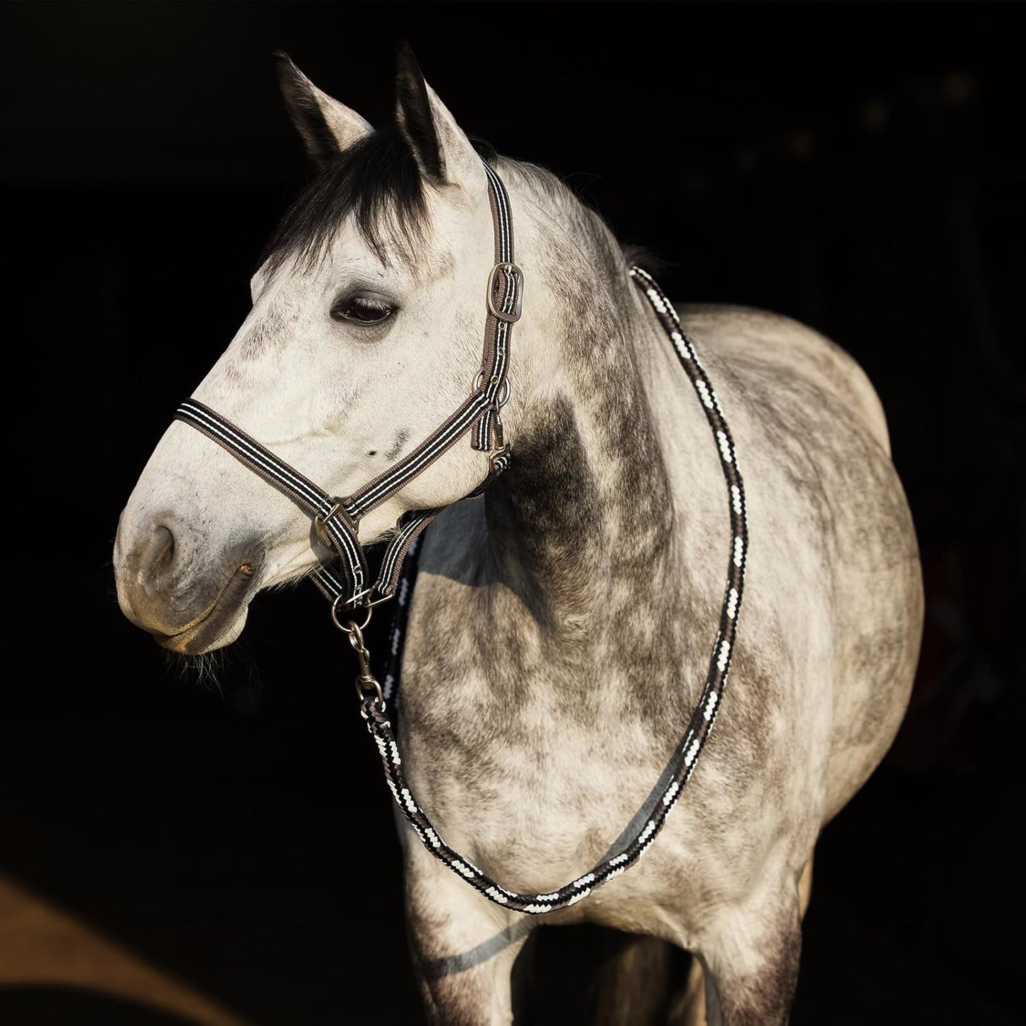 HORZE Adepto Adjustable Horse Halter | Soft, Durable Polyester - Dark Navy - Warmblood