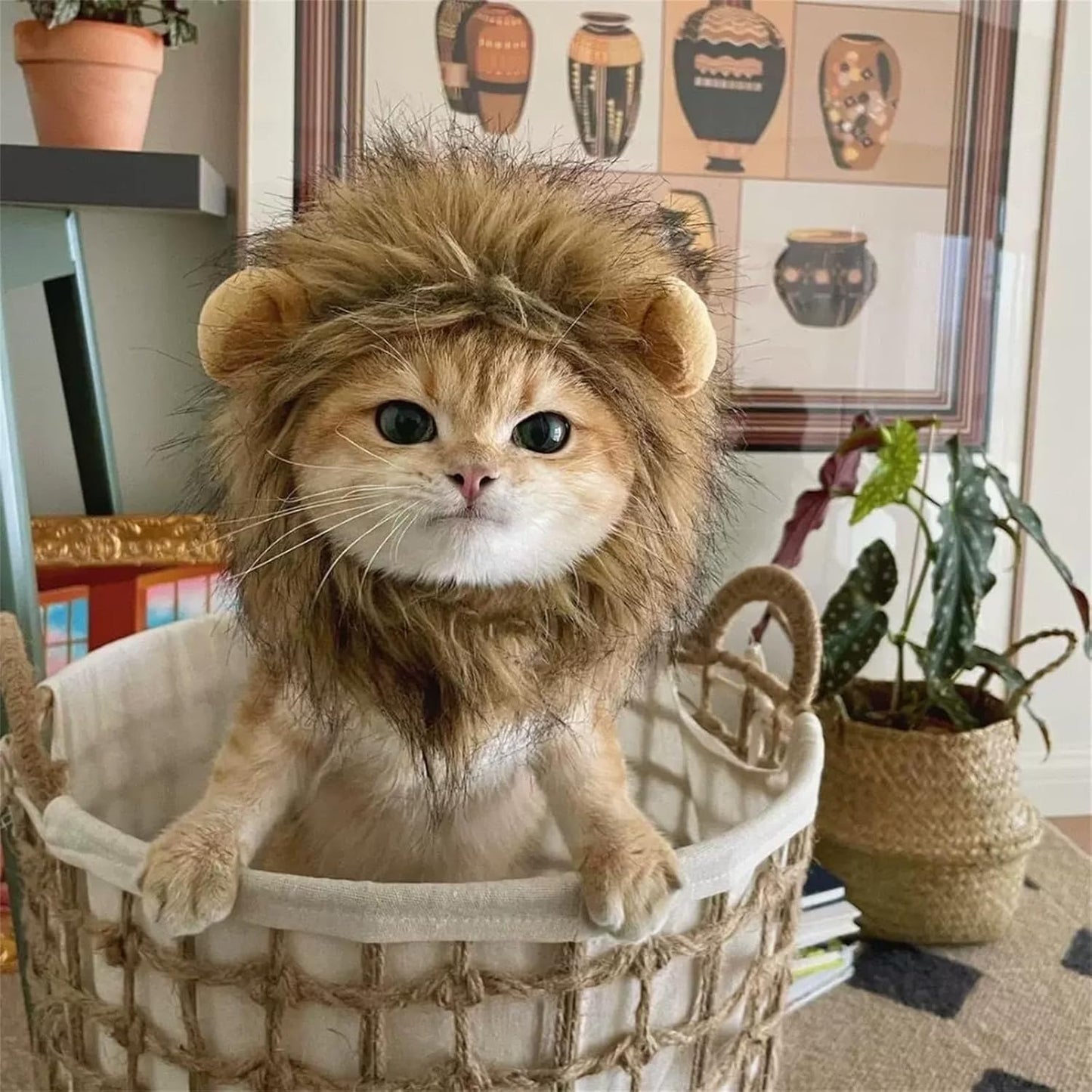 Enjoying Cat Lion Mane Costume, Small Dogs Halloween Outfit, Lion Mane Wig for Cat Cosplay, Kitten Lion Hat for Halloween Themed Party, Daily Cosplay