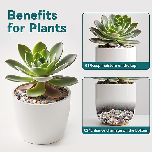 5 lbs Natural Pea Gravel Pebbles for Aquarium, Fish Tank, 3/8 inch Decorative Pebbles for Indoor Plants, Succulent, Bamboo, Vase, Drainage Rocks for Potted Plants, Top Dressing, Mixed Color