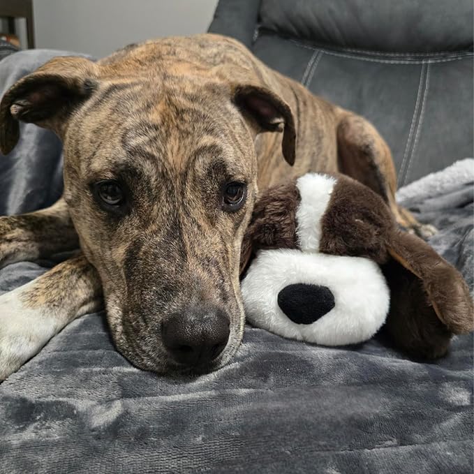 Original Snuggle Puppy Toys - Heartbeat Puppy for Dogs - Pet Anxiety Relief and Calming Aid - Comfort Dog Toys for Behavioral Training