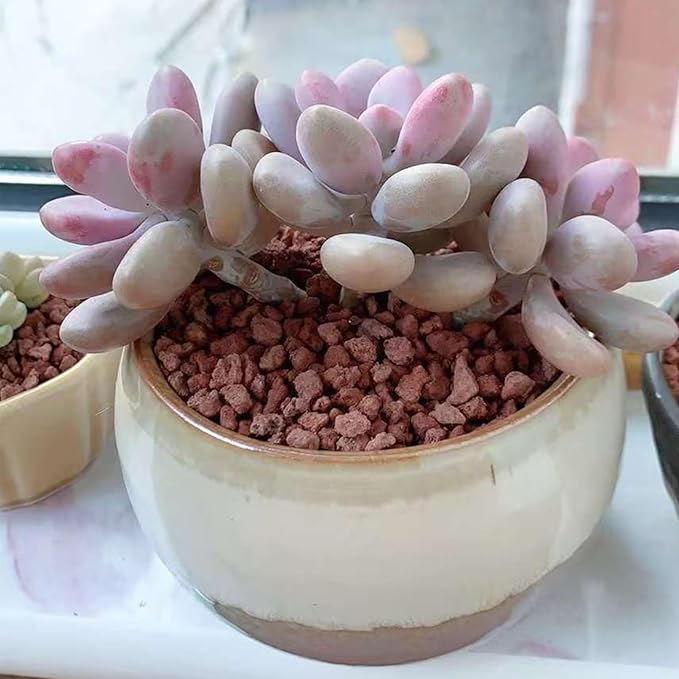 2 lbs Red Lava Rocks for Plants,1/4 Inch Crush Volcanic Rock Gravel Potting Mix for Succulent Cactus Bonsai Aquarium Fire Pits and Garden Landscaping