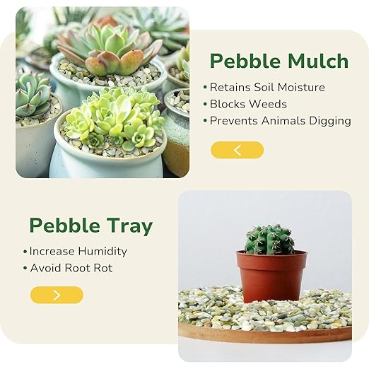 GreatBuddy 5-lb Decorative Rocks for Indoor Plants, 3/8" Jade Pebbles for Planters, Gravel for Succulent, Vases, Bamboo, Garden Landscaping, Crafts, Aquariums, Natural Polished