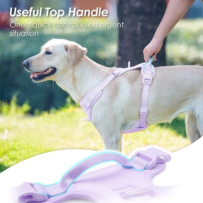 No Pull Dog Harness, Puppy Vest with Front Clip for Small Medium Large Sized Dog(Light Purple,XL)