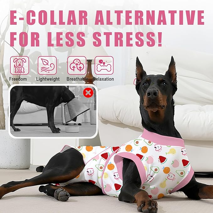 Recovery Suit for Dogs After Surgery, Professional Dog Surgical Suit for Female Spay, Male Neuter, E-Collar & Cone Alternative Dog Onesie for Abdominal Wounds Skin Disease, Fruit, XXL