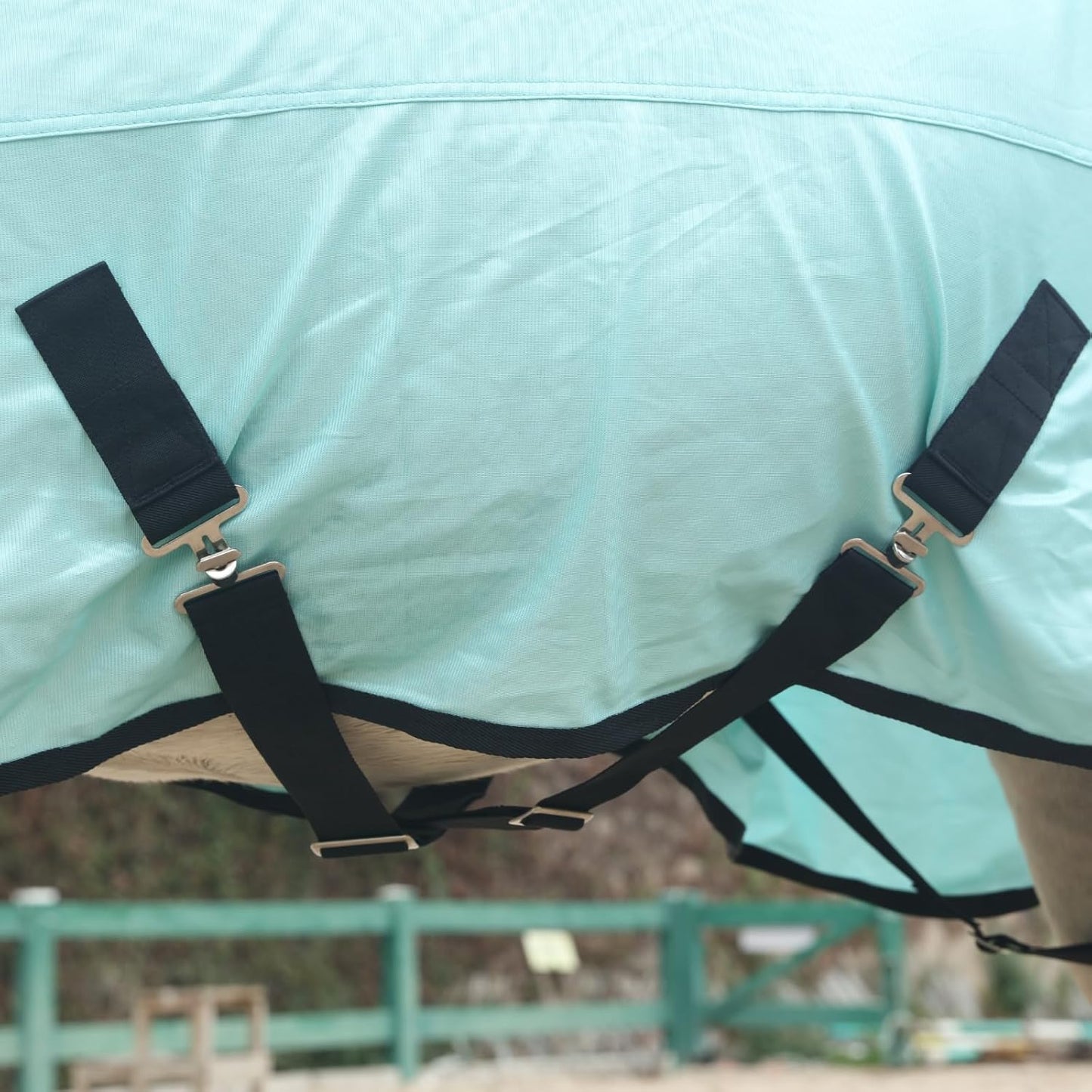 Horse Fly Sheet, Standard Neck Comfy Mesh Fly Sheet for Horses, Equine Summer Sheets UV-Protective Green 84