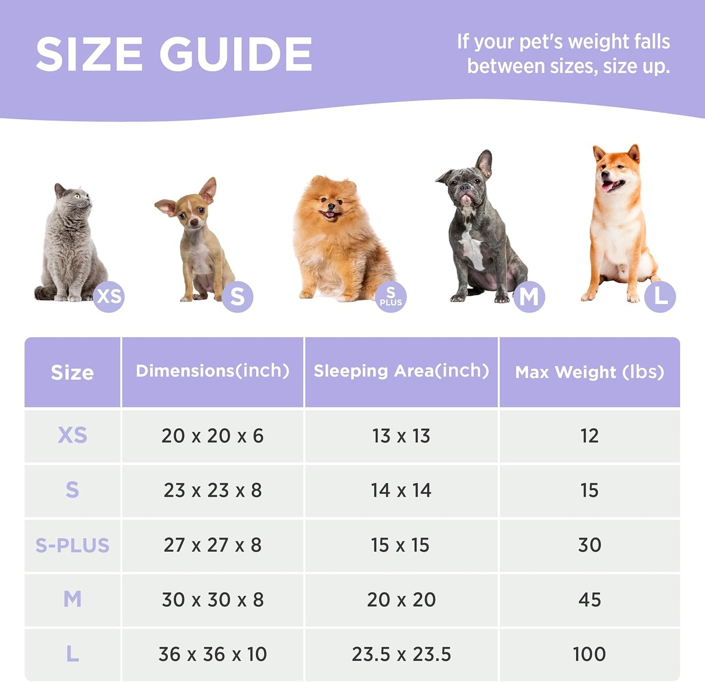 LE SURE Donut Small Dog Bed - Round Cat Beds for Indoor Cats Anti-Anxiety Calming Pet Beds, Washable Cute Modern Beds with Teddy Sherpa Plush & Anti Slip Bottom, 23 Inch, Pink Taffy