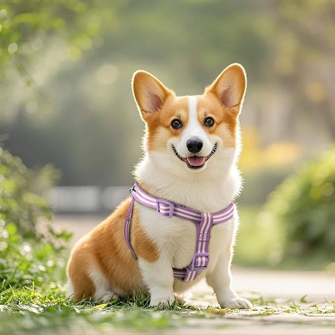 Stripe Step in Dog Harness for Small Dogs, Freedom Nylon Dog Halter Vests, Lightweight and Escape Proof Puppy Harness, Quick Fits for Small Medium and Large Dogs, Purple S