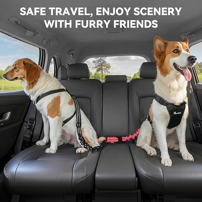 Pawaboo 2Pack Dog Seatbelt for Car, 3-in-1 Dog Seat Belt Bungee, Shockproof Dog Car Tether with Buckle & Hook Latch, Adjustable Reflective Dog Car Harness Leash with 360° Lockable Buckle, Red