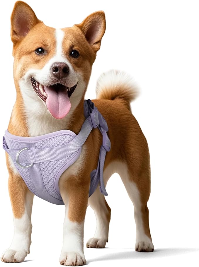 Wisedog Mesh Breathable Dog Harness: No Pull Harness with 3 Fast-Release Buckles Adjustable for Walking & Training for Small Medium Large Dogs (Lilac, M: Neck=17"-22"/Chest=15"-28")