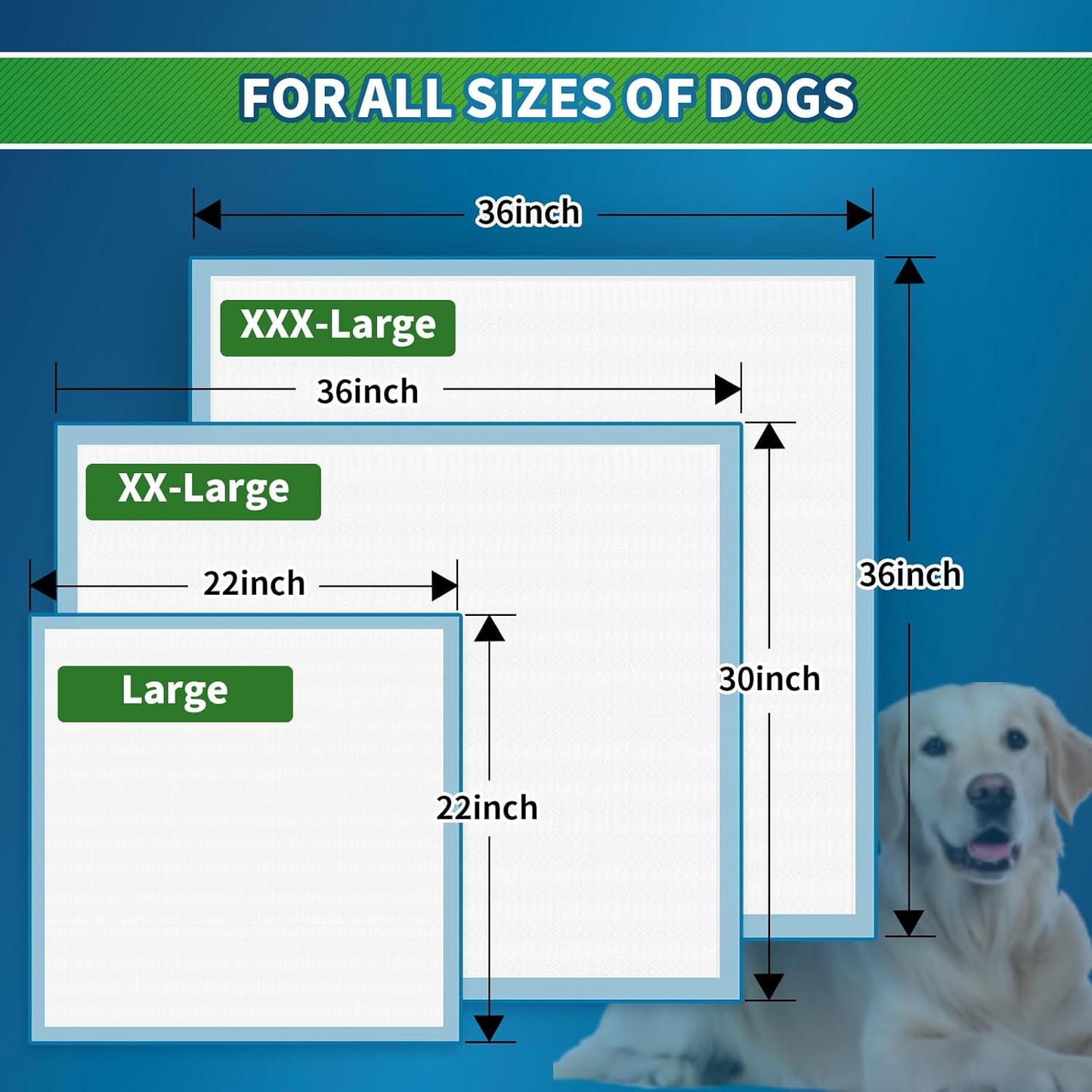 Pee Pads for Dogs, Puppy Pads Pet Training Pads Disposable Upgraded Odor Control, Potty Pads Absorbent and Leak-Proof Dog Housebreaking & Puppy Supplies (30"x36"/12 Count)