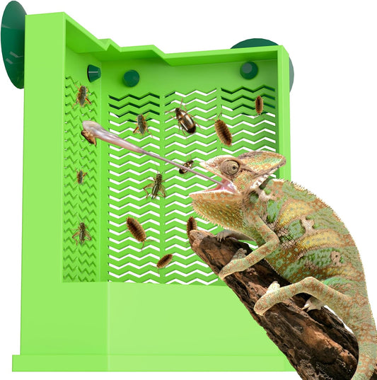 Pawfly Reptile Feeder Bowl - Escape-Proof Corner Hunting Dish, Wall-Mounted Insect Feeder for Bearded Dragons, Chameleons, Geckos, Frogs & Lizards with Suction Cups