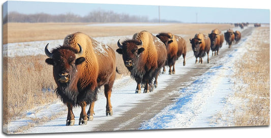 Quorin American Bison Large Wall Art Rural Country Landscape Pictures Wild Animal Wall Decor Nature Canvas Print Painting Artwork for Bathroom Living Room Bedroom 30"x60"