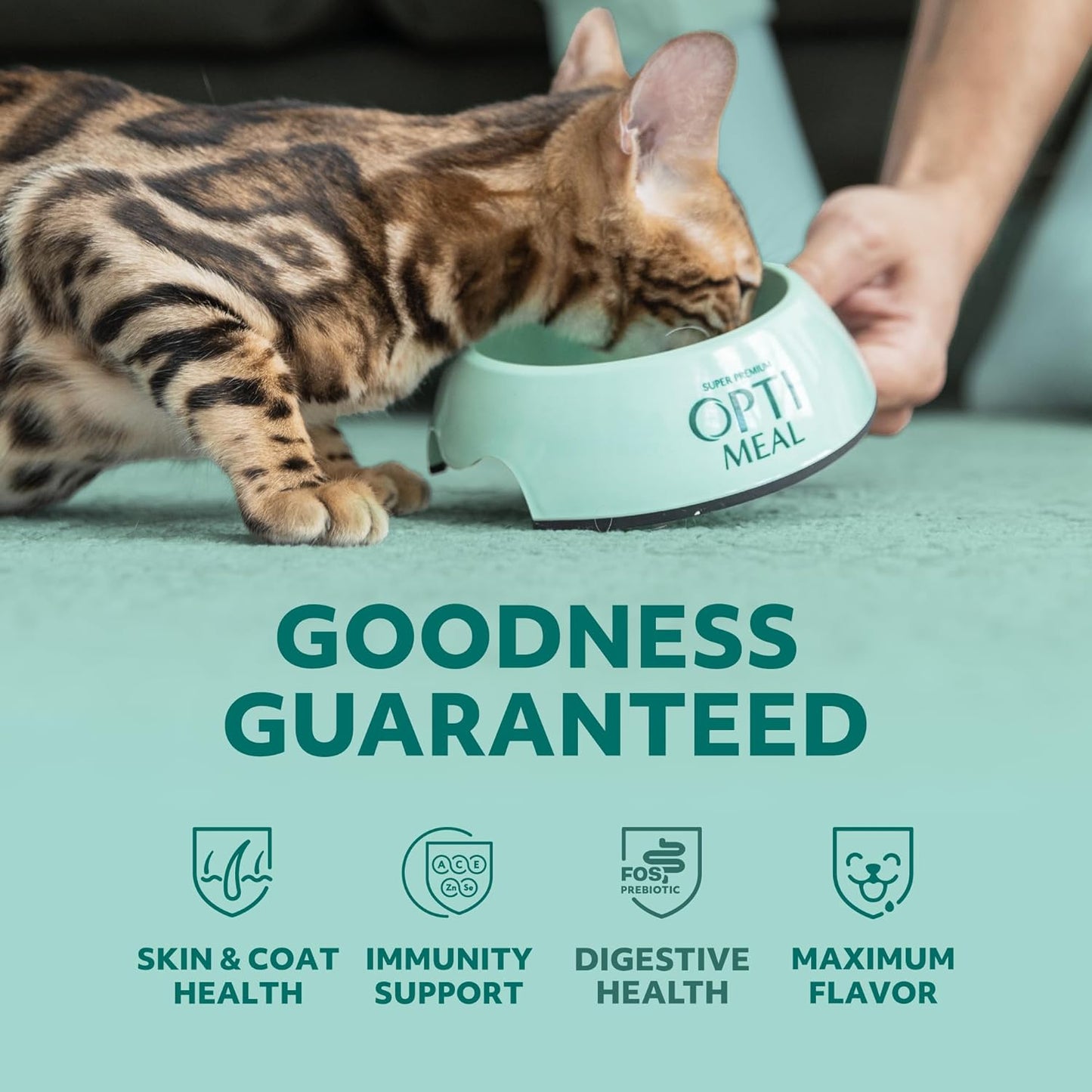Optimeal Dry Cat Food - Healthy Balanced Nutrition for Immunity Support, Premium Nutrition Made with Natural Ingredients for Adult Cats, (8.8 lbs, Chicken & Brown Rice)