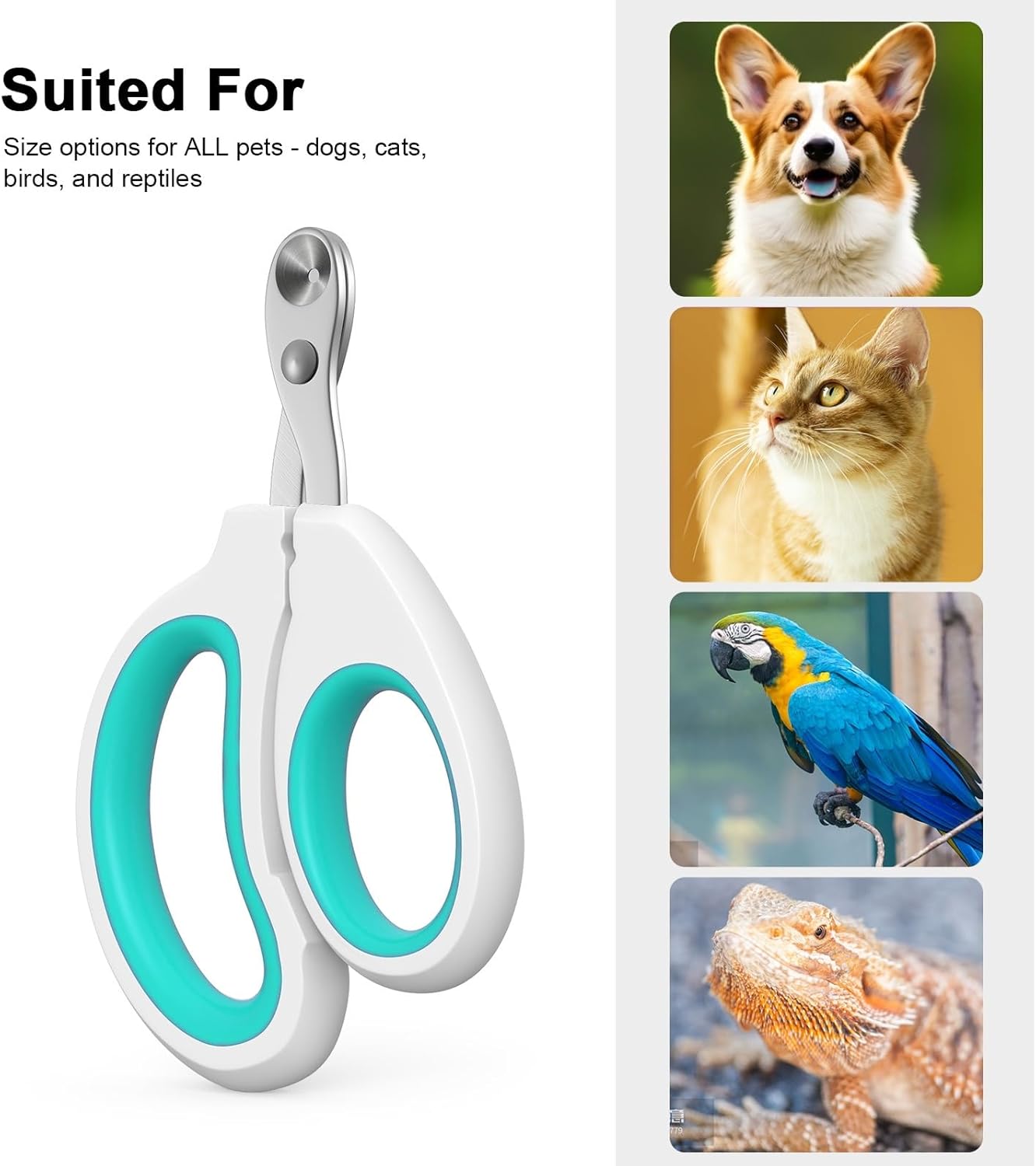 Cat Specific Nail Clipper, Avoiding Excessive Cutting, Suitable for Beginners. It Can Also be Used for Small Animals Such as Birds, Hamsters, Rabbits, Hedgehogs, Ferrets, Guinea Pigs, Etc.