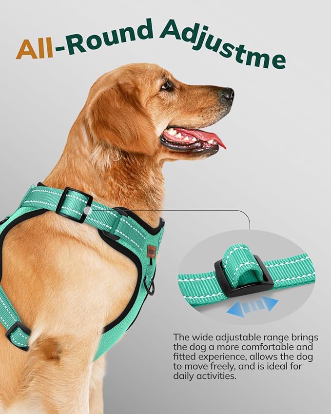 MIDOG No-Pull Dog Harness | Adjustable & Reflective Pet Harness Leash Set for Small Medium Large Dogs Walking, Training| No Choke, Front Clip, Soft Padded Vest with Easy Control Handle - Green, L