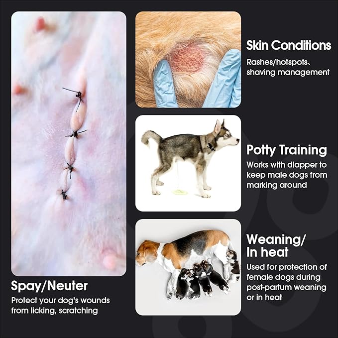 FUAMEY Dog Recovery Suit Male,Dogs Surgery Neuter Suits Puppy Spay Shirts for Female Protect Dog's Skin Anti Licking Abdominal Wounds Doggie Onesie Pet Bodysuit Alternative to Cone Orange S