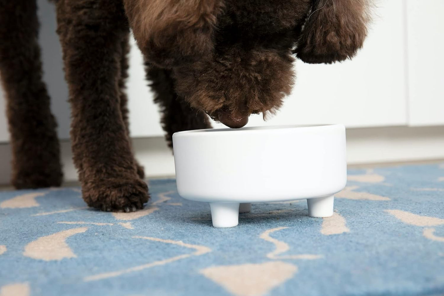 Waggo Uplift Ceramic Dog Bowl for Small Medium and Large Breeds - Heavyweight and Durable Pet Food and Water Dish Crock, Dishwasher Safe, Modern, Elevated Feeder (Teracotta, Medium)