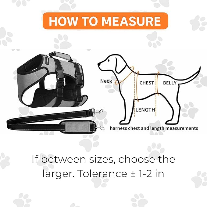 Ayquez Dog Lift Harness with Storage and Transport Bag, Dog Harness with Handle for Lifting & Hip dysplasia, arnés para Perros pequeños, pechera para Perros Gray, S