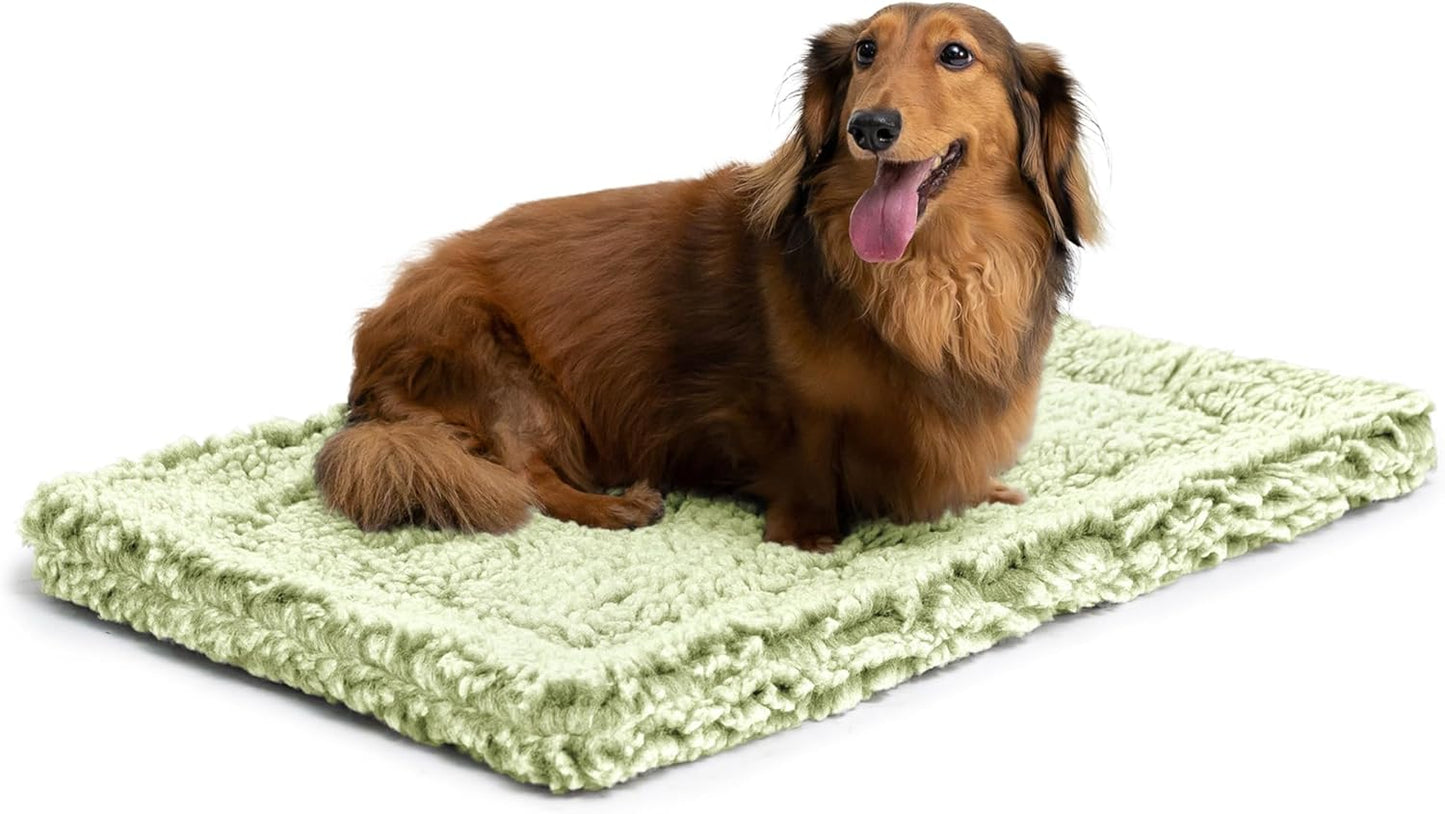 Stoutwool Indestructible Dog Bed - Fluffy Chew Proof Dog Crate Pad - Tough Kennel Pad for Aggressive Chewers - Washable, Ideal for Small Breeds & Fits 24-Inch Crate - 23"x16", Gleam