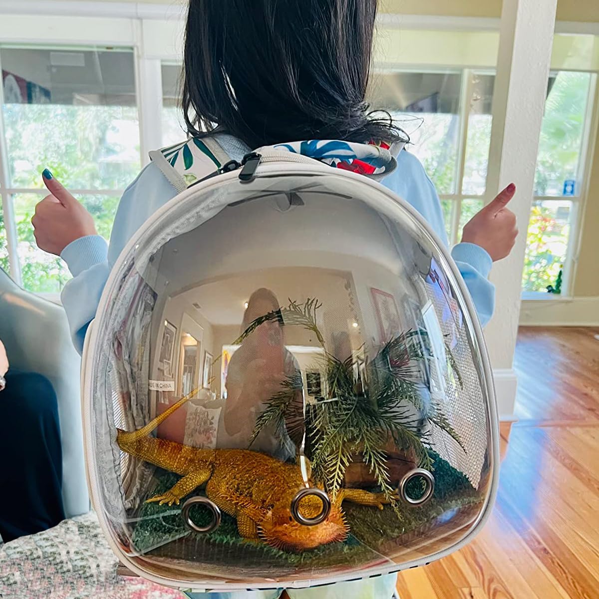 Hamster Backpack Carrier,Bearded Dragon Carrier Backpack for Kids with Clear Bubble Window,Small Animal Travel Backpack for Guinea pig Hedgehog Rat,Sugar Glider Airline Approved (Multicolor, Backpack)