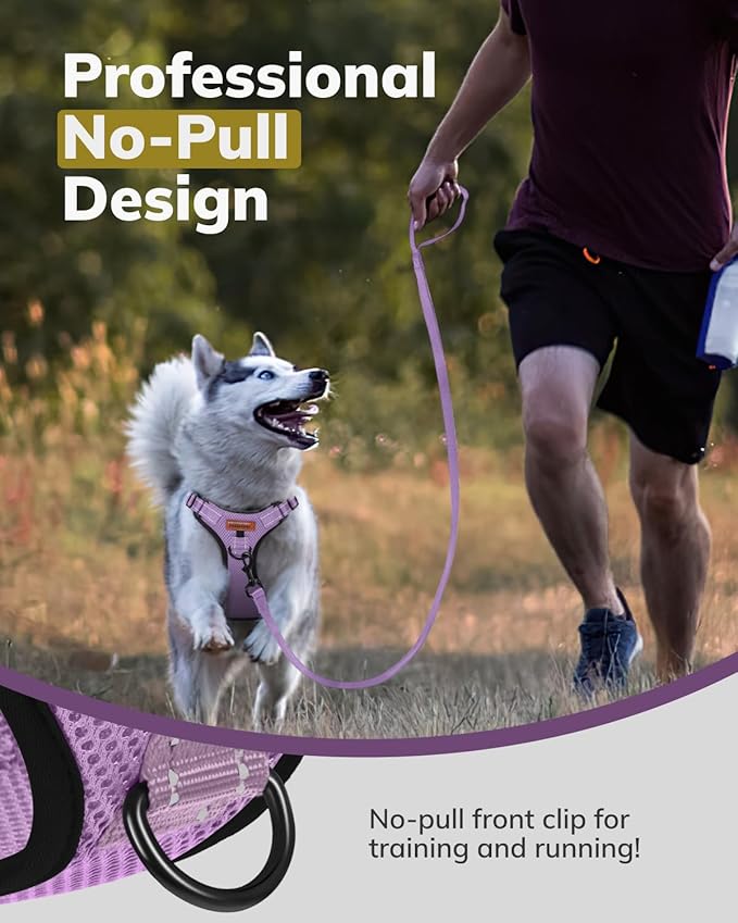 MIDOG No-Pull Dog Harness | Adjustable & Reflective Pet Harness Leash Set for Small Medium Large Dogs Walking, Training| No Choke, Front Clip, Soft Padded Vest with Easy Control Handle - Purple, XS