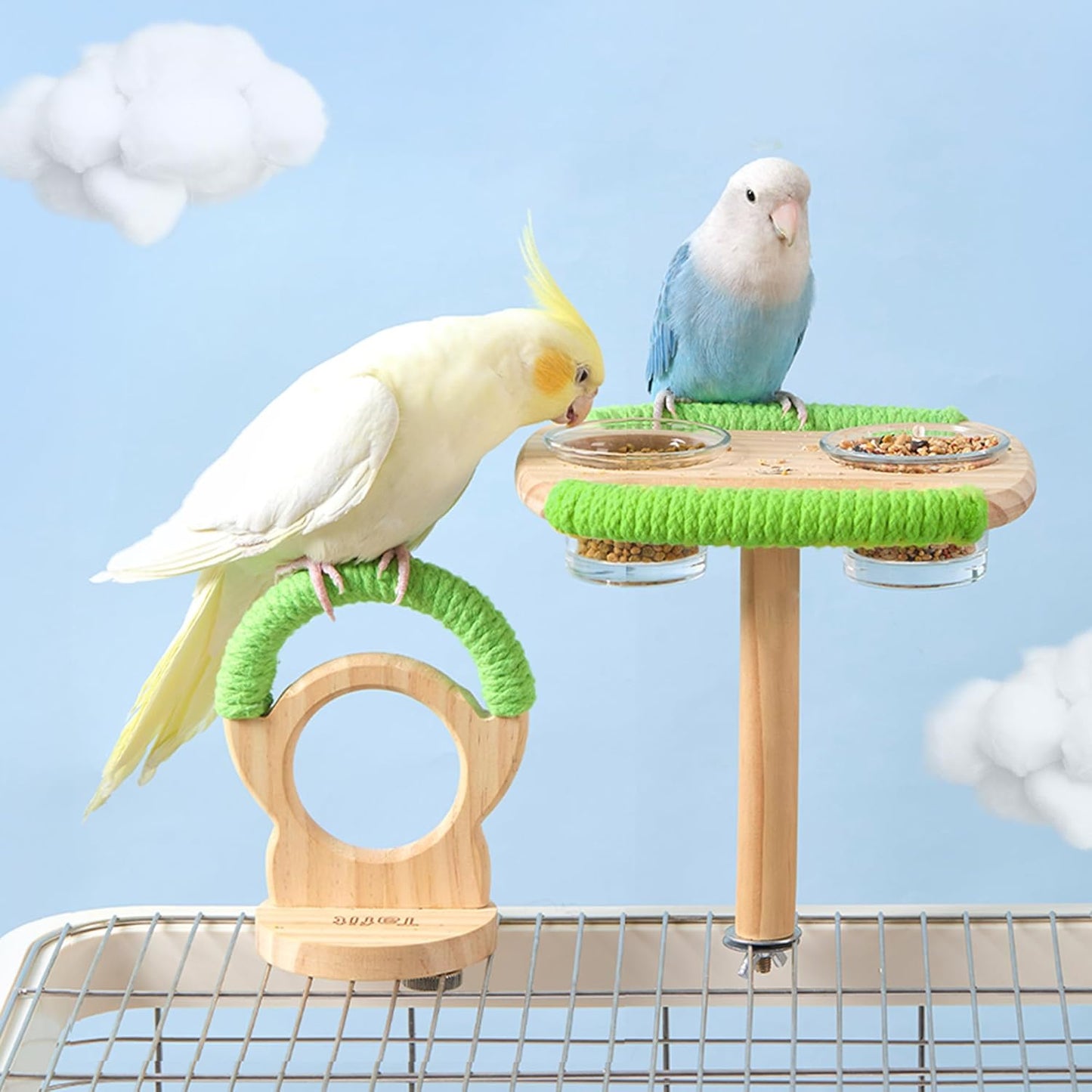 Bird Feeder & Perch – Includes Cotton Rope Perch and Glass Feeding Cup – Cage Accessory for Cockatiels, Budgies, Lovebirds, Conures, Canaries, Finches, and Small Parrots