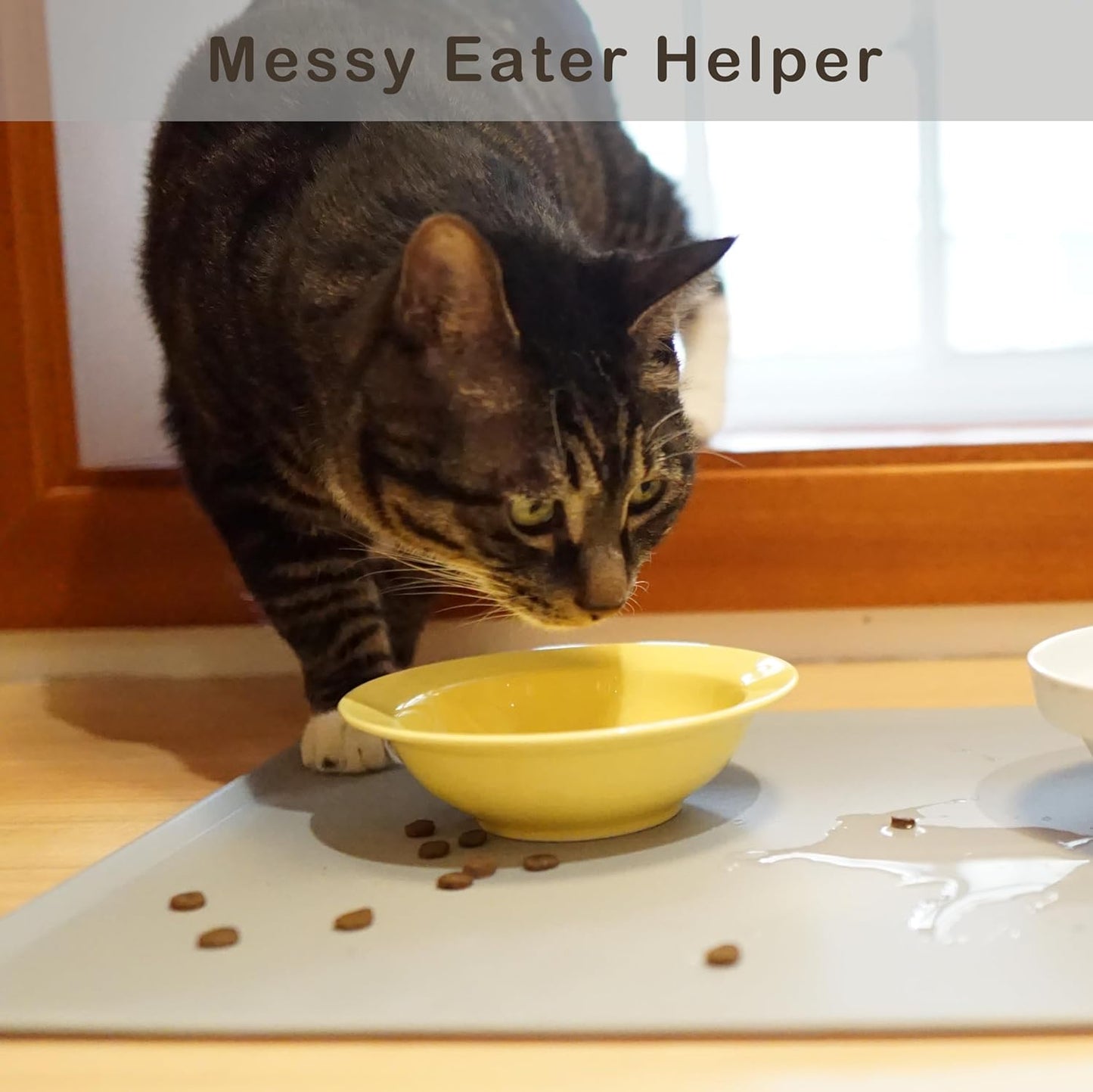 Meow&Woof Premium Silicone Dog Food Mat, Cat Can Lid and Spoon Combo