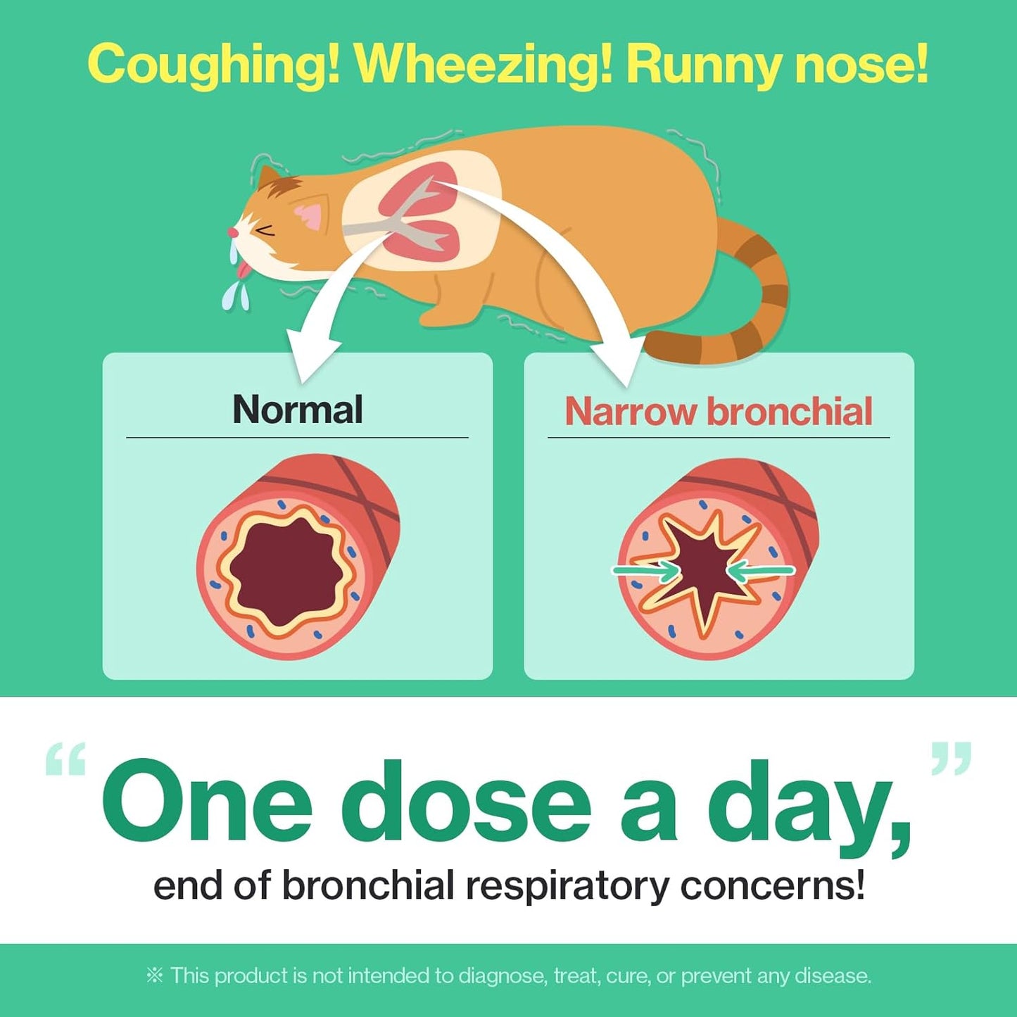 Dr.by Cat Breath Bronchial Supplements Cat Sneezing Treatment Asthma Cold Cough Nose Relief Respiratory&Immune Support with TF-343-30 lickable Formula Individually Packaged, Chicken (2 Packs (17OZ))