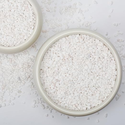 1/5 Inch White Succulent Cactus Gravel, 10 lbs – Ideal for Succulent Plant Pots, Vase Fillers, Glass Containers, Aquariums, Patios, and Outdoor Gardening River Stones (White, 10 Pounds)