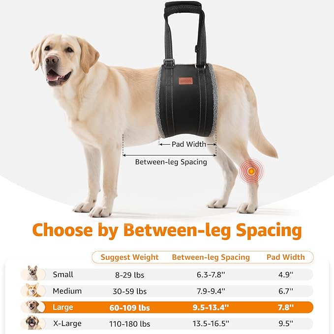 LOOBANI Portable Dog Sling for Back Legs, Hip Support Harness to Help Lift Dogs Rear for Canine Aid and Old K9 Cruciate Ligament Rehabilitation