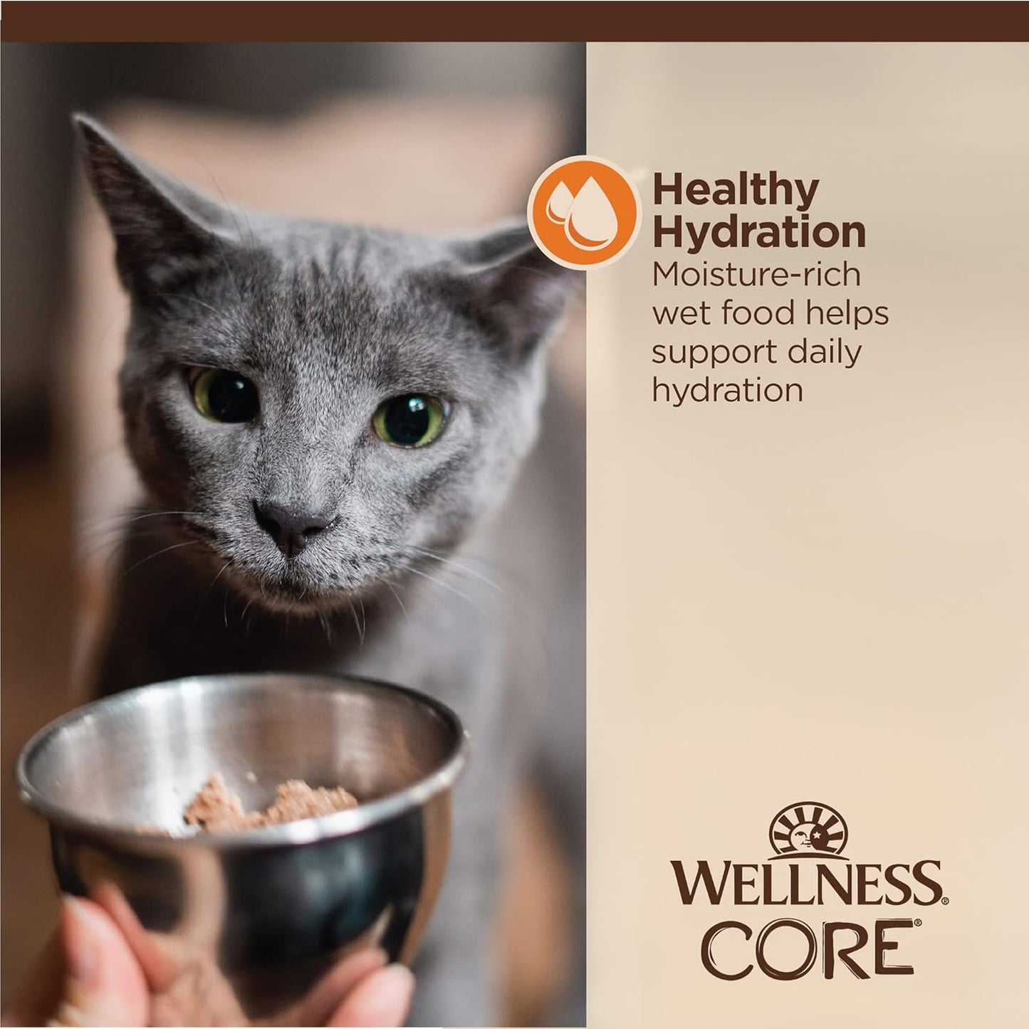 Wellness CORE Tiny Tasters Minced Adult Wet Cat Food, Natural, Protein-Rich, Grain Free, 1.75-Ounce Pouch, 12 Pack, (Chicken)