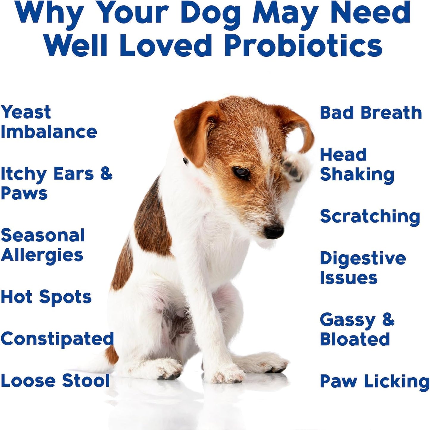 Probiotics for Dogs, Dog Probiotics, Made in USA, Vet Developed for Gut Health, Yeast Balance, Itchy Skin, Diarrhea & Gas Relief, Chews with Prebiotic & Digestive Enzymes, Digestive Support