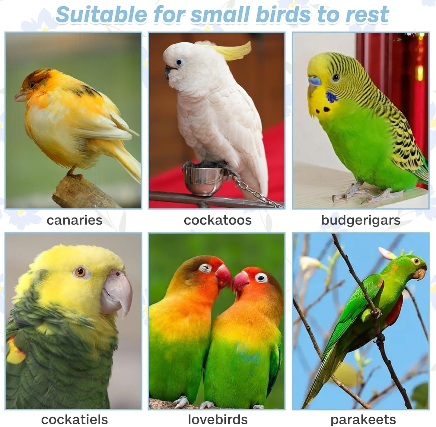 PIVBY Wood Bird Cage Perch Colorful Parrot Stand Toy Platform Paw Grinding Stick for Small Medium-Sized Bird Parakeet Cockatiel Conure Budgies Lovebird inches and Canary Colors Vary Pack of 3