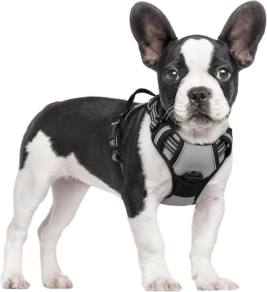 rabbitgoo Dog Harness No Pull with 2 Leash Clips, Adjustable Soft Padded, Reflective Oxford No Choke Pet Vest with Easy Control Handle for Small Dogs, Grey, S
