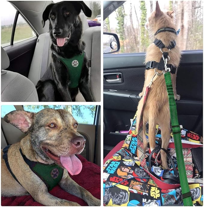 Lukovee Dog Seat Belt - Adjustable Dog Car Harness for Large, Medium & Small Dogs, Soft Padded & Breathable Mesh Dog Seatbelt with Vehicle Connector Strap (Green, Medium)