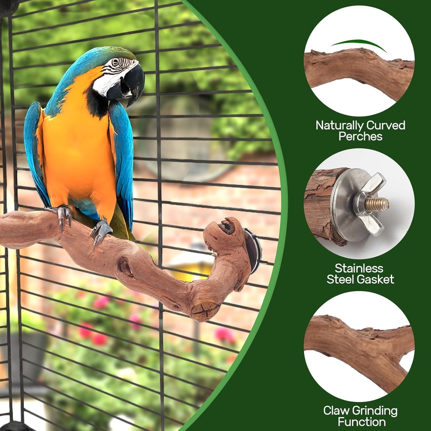 6-Piece Premium Bird Perch Stand with Natural Grape Wood Branch, Paw Grinding Fork, Chewing Stick, Cage Accessories for Parakeets, Budgies, Cockatiels, Finches, Lovebirds