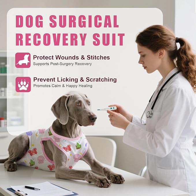 Recovery Suit for Dogs After Surgery, Professional Dog Surgical Suit for Female Spay, Male Neuter, E-Collar & Cone Alternative Dog Onesie for Abdominal Wounds Skin Disease, Jellyfish, S