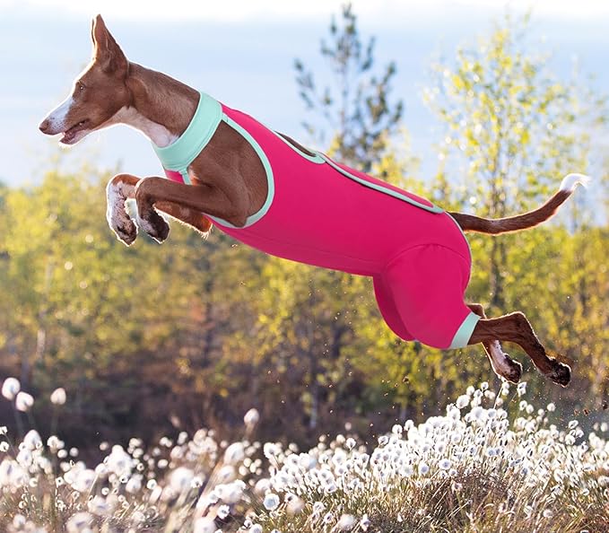 ROZKITCH Dog Surgery Leg Sleeve Rear Legs, Male Female Pet Prevent Licking Wound Elbow Knee Protector, Dog Recovery Suit Cone Collar Alternative Pants Shirt for Wound Heal Wrap Rosered XL