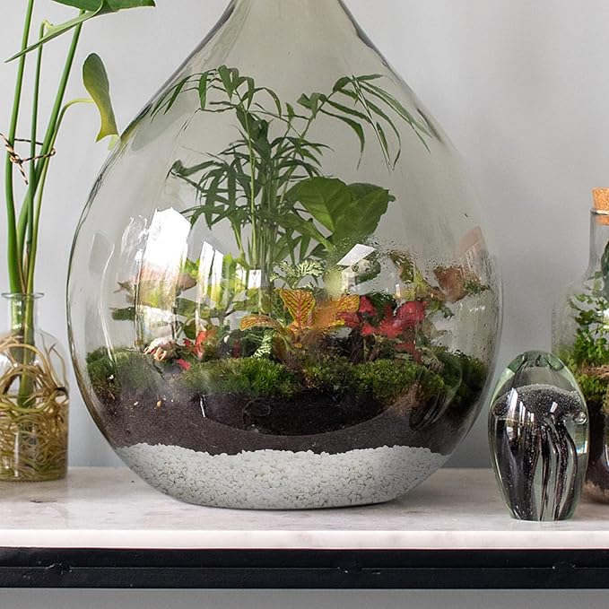 Mr. Fireglass 5 lbs White Pebbles,1/5" Natural Decorative River Rocks Aquarium Gravel for Indoor Plants, Vases, Succulents and Outdoor Garden Landscaping