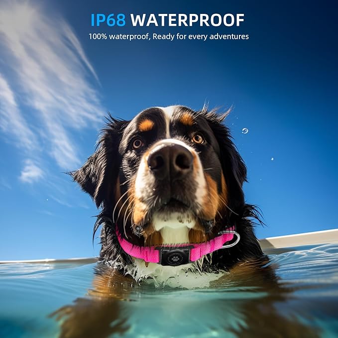 Upgraded AirTag Dog Collar, IP68 Waterproof Air Tag Dog Collar Holder, Reflective, Ultra-Durable, Comfortable Padded, Heavy Duty Dog Collars for Small Medium Large Dogs (M (12.6"-17.1"), Hotpink)